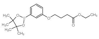 4-[3-(4,4,5,5-TETRAMETHYL-[1,3,2]DIOXABOROLAN-2-YL)-PHENOXY]-BUTYRIC ACID ETHYL ESTER结构式