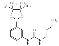 1-丁基-3-(3-(4,4,5,5-四甲基-1,3,2-二氧杂戊硼烷-2-基)苯基)脲结构式