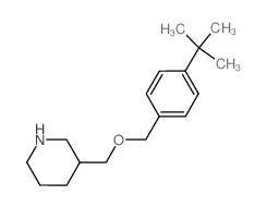 4-(tert-Butyl)benzyl 3-piperidinylmethyl ether结构式