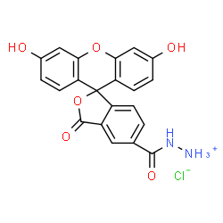 FAM hydrazide 5-isomer picture