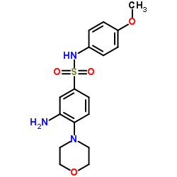 3-AMINO-N-(4-METHOXY-PHENYL)-4-MORPHOLIN-4-YL-BENZENESULFONAMIDE结构式