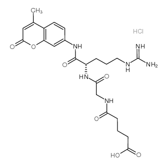 N-戊二酰基-甘氨酰-精氨酸-7-氨基-4-甲基香豆素盐酸盐图片
