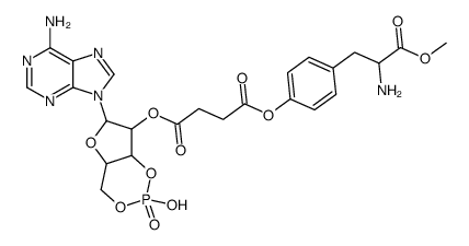 2'-O-Monosuccinyladenosine 3':5'-cyclic monophosphate tyrosyl methyl ester结构式
