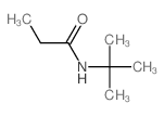 Propanamide,N-(1,1-dimethylethyl)- picture