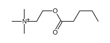 16597-24-3 structure