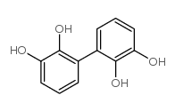 [1,1'-Biphenyl]-2,2',3,3'-tetrol picture