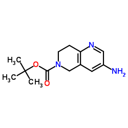 tert-butyl3-amino-7,8-dihydro-1,6-naphthyridine-6(5H)-carboxylate structure