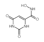 N-hydroxy-2,6-dioxo-3H-pyrimidine-4-carboxamide结构式