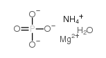 Ammonium magnesium phosphate hydrate Structure