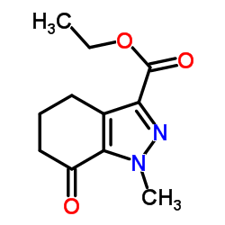 Ethyl 1-methyl-7-oxo-4,5,6,7-tetrahydro-1H-indazole-3-carboxylate picture