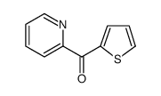 Methanone, 2-pyridinyl-2-thienyl-, radical ion(1-)结构式