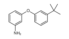 3-(3-叔丁基苯氧基)-苯胺结构式