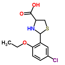 2-(5-Chloro-2-ethoxyphenyl)-1,3-thiazolidine-4-carboxylic acid Structure