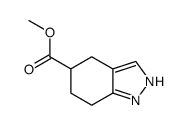 4,5,6,7-四氢-1H-吲唑-5-羧酸甲酯结构式