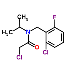 2-Chloro-N-(2-chloro-6-fluorobenzyl)-N-isopropylacetamide结构式