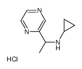 N-环丙基-α-甲基-2-吡嗪甲胺盐酸盐图片