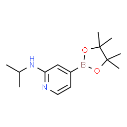 2-(Isopropylamino)pyridine-4-boronic acid pinacol ester结构式