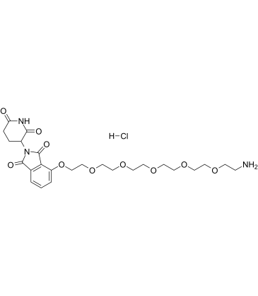 Pomalidomide-PEG6-NH2 hydrochloride Structure