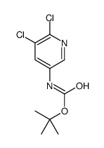 TERT-BUTYL 5,6-DICHLOROPYRIDIN-3-YLCARBAMATE Structure