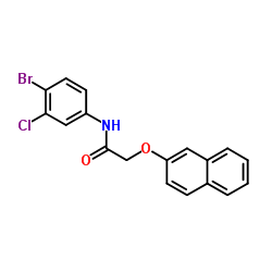 N-(4-Bromo-3-chlorophenyl)-2-(2-naphthyloxy)acetamide结构式