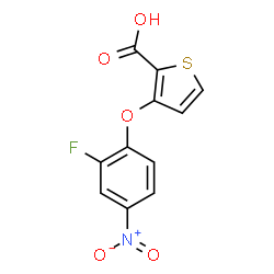 3-(2-Fluoro-4-nitrophenoxy)-2-thiophenecarboxylic acid picture