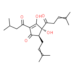 TRANS-ISOHUMULONE structure