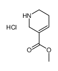 Norarecoline Hydrochloride picture