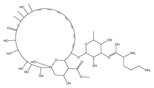 N-D-Ornithylamphotericin B methyl ester结构式