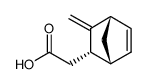 endo-2-(carboxymethyl)-3-methylenebicyclo[2.2.1]hept-5-ene Structure