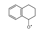 tetralin-1-oxyl radical结构式