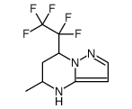 Pyrazolo[1,5-a]pyrimidine, 4,5,6,7-tetrahydro-5-methyl-7-(1,1,2,2,2-pentafluoroethyl)结构式