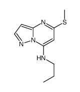 5-methylsulfanyl-N-propylpyrazolo[1,5-a]pyrimidin-7-amine结构式