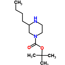 1-Boc-3-Butylpiperazine picture