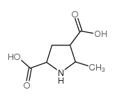 5-METHYL-2,4-PYRROLIDINEDICARBOXYLIC ACID structure