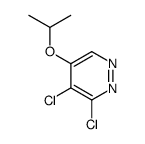 3,4-dichloro-5-propan-2-yloxypyridazine Structure