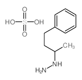 Hydrazine, (1-methyl-3-phenylpropyl)-结构式
