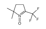 2,2-dimethyl-1-oxido-5-(trifluoromethyl)-3,4-dihydropyrrol-1-ium Structure