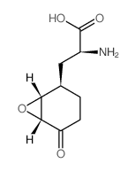 Anticapsin structure