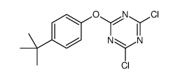 2-(4-tert-butylphenoxy)-4,6-dichloro-1,3,5-triazine Structure