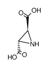 2,3-dicarboxyaziridine Structure