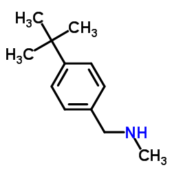 N-(4-tert-butylbenzyl)-N-methylamine Structure