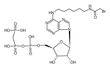 N6-[6-(2-bromo-acetylamino)-hexyl]-O5'-[hydroxy-(hydroxy-phosphonomethyl-phosphinoyloxy)-phosphoryl]-adenosine结构式