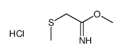 methyl 2-methylsulfanylethanimidate,hydrochloride Structure