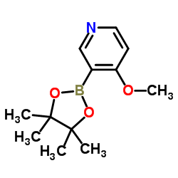 4-Methoxy-3-(4,4,5,5-tetramethyl-[1,3,2]dioxaborolan-2-yl)-pyridine structure