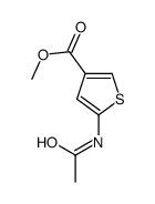 methyl 5-acetamidothiophene-3-carboxylate Structure