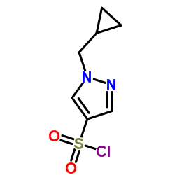 1-(Cyclopropylmethyl)-1H-pyrazole-4-sulfonyl chloride结构式