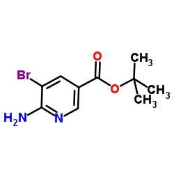 2-Methyl-2-propanyl 6-amino-5-bromonicotinate Structure