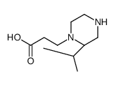 3-[(2S)-2-propan-2-ylpiperazin-1-yl]propanoic acid结构式