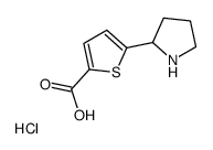 5-(2-Pyrrolidinyl)-2-thiophenecarboxylic acid hydrochloride (1:1) Structure