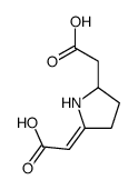 2-[5-(carboxymethylidene)pyrrolidin-2-yl]acetic acid结构式